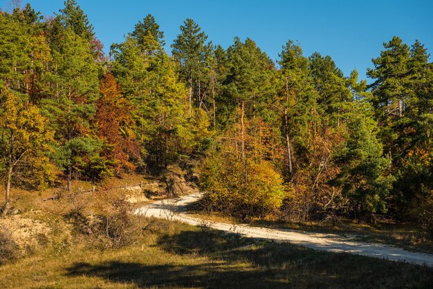 Rural autumn landscape with a dirt road