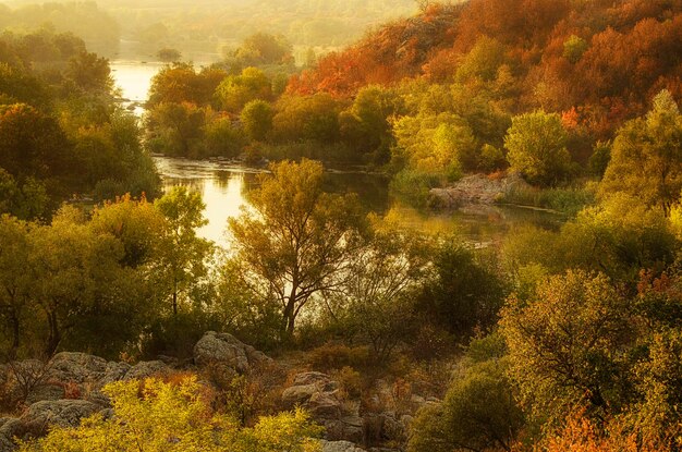 Rural autumn sunrise soft landscape with river and  colorful trees seasonal background