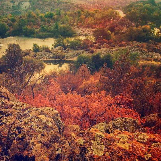 川と色とりどりの木々の季節のヴィンテージの背景と田舎の秋の日の出の柔らかい風景