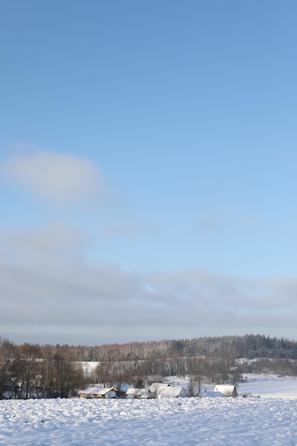 田舎の美しい冬の風景 非都市のシーン 新年のクリスマス 凍るような冬の日に田園地帯の美しい景色