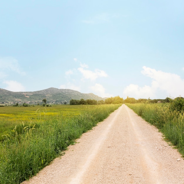 Foto concetto rurale con strada di campagna