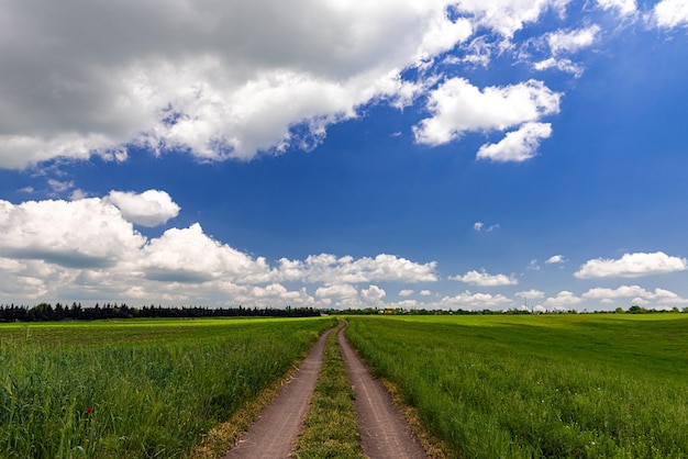 Strada sterrata rurale tra campi agricoli