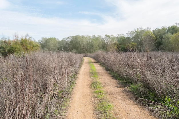 Rural dirt road in the middle of nature