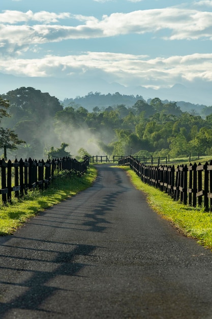 Rural driveway through paddocks on farm