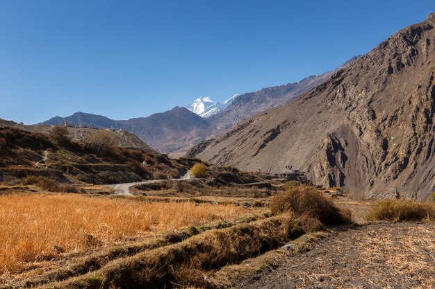 Photo rural fields, nepal