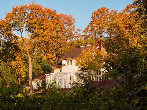 Rural hinterland in the fall A large tree above the cottage