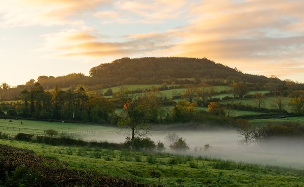 Сельская Ирландия. Туманный восход солнца над сельскохозяйственными угодьями в центральной части Ирландии.