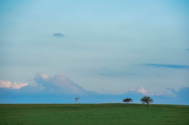 Rural landscape Buenos Aires province Argentina