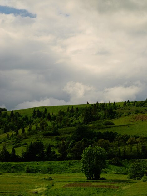 Rural landscape calm before the storm