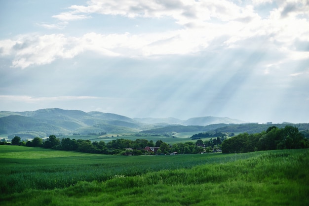 Rural landscape . Countryside farm, trees, green field, sunlight and cloud