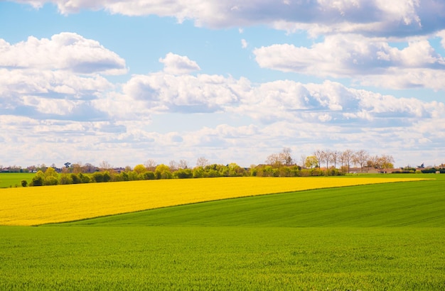 Rural landscape of cultivated fields in NouvelleAquitaine