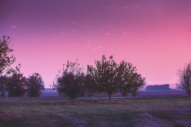 Rural landscape in the evening The Hula Valley in northern Israel at sunset