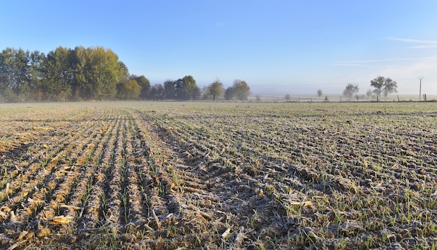 Photo rural landscape frozen