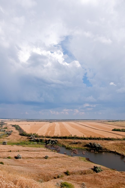 Paesaggio rurale. prato, campo raccolto, fiume e mucche.