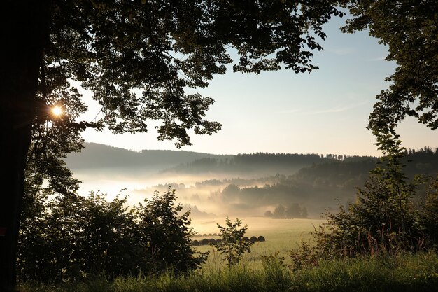 Rural landscape on a misty summer morning
