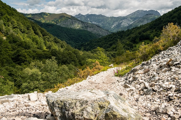 Rural landscape of the north of Spain