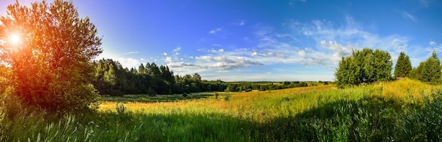 Фото Панорама сельского пейзажа. экология леса и поля утром.