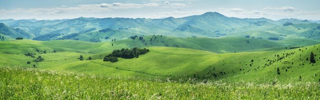 Rural landscape Picturesque hills and valley panoramic mountain view Summer blooming meadow