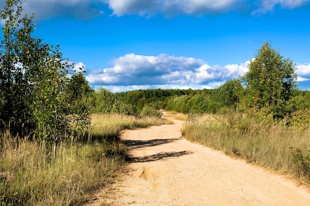 Rural landscape on a summer day