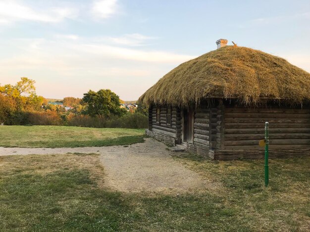 Rural landscape at sunset