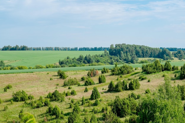 Сельский пейзаж Татарстана Зеленые холмы с видом сверху на деревья и луга