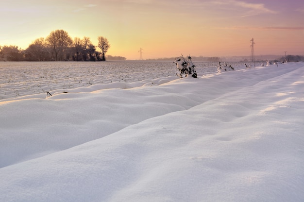 Rural landscape in winter