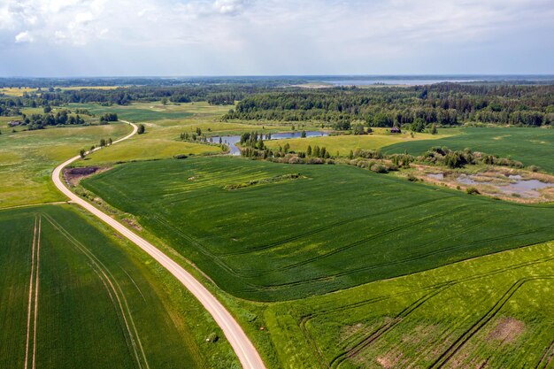 Rural landscape with agricultural fields roads and lonely trees drone photography