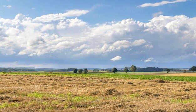 rural landscape with clouds