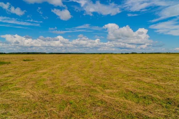 Rural landscape with clouds.