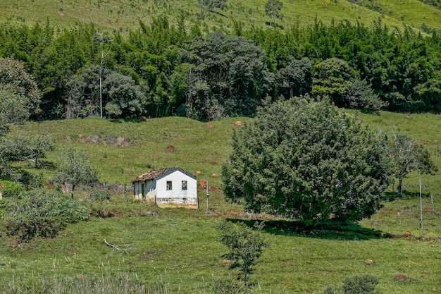 草、木、丘の上の小さな家のある田園風景。ブラジル、ミナスジェライス州