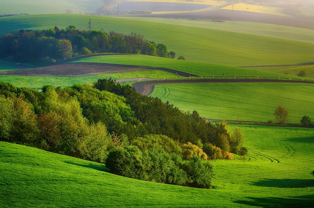 Сельский пейзаж с зелеными полями и деревьями Южная Моравия Чехия