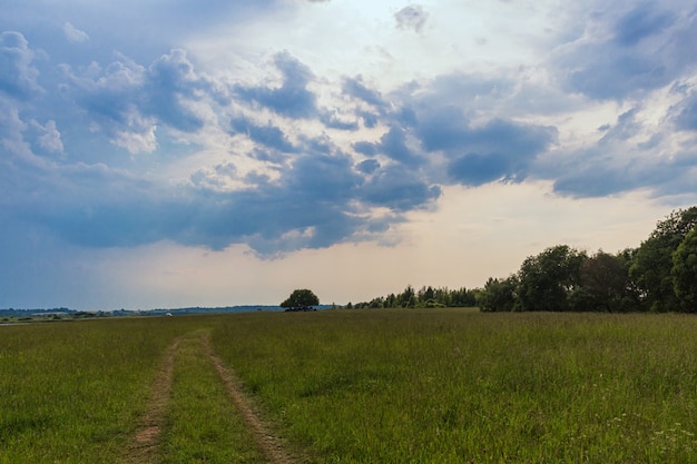 Сельский пейзаж с группой деревьев