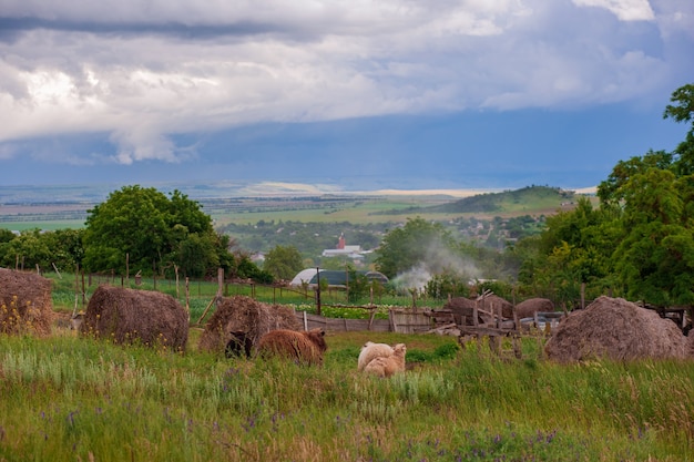 Paesaggio rurale con mucchi di fieno dopo la pioggia