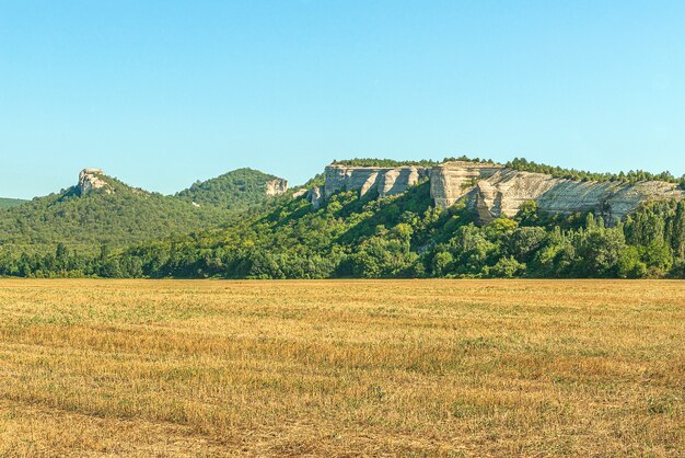 Rural landscape with a mown field where crops grew