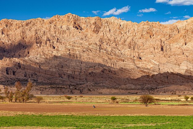 Rural landscape with two people cultivating the land with a rock wall in the background