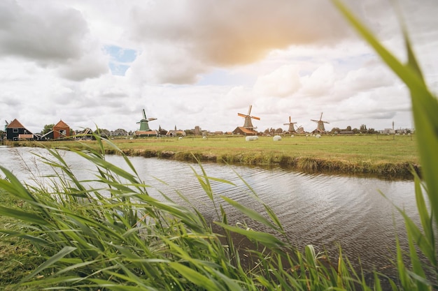 Rural landscape with windmill in Zaanse Schans Holland Netherlands Authentic Zaandam mill