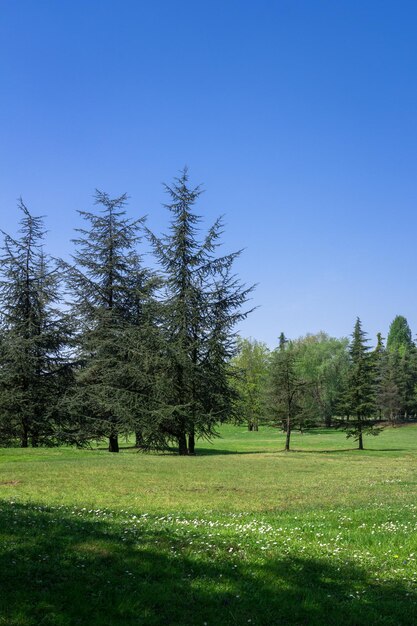 農村の風景