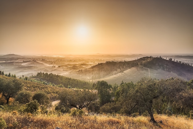 Foto paesaggio rurale