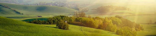 Rural landscape