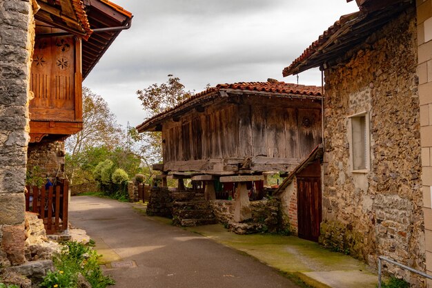 Rural landscapes of the inside from asturias