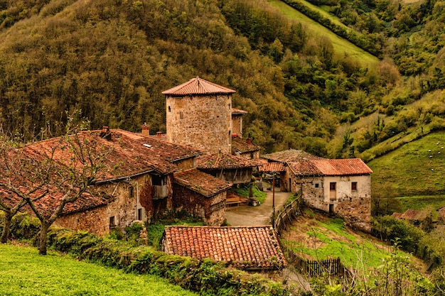 Rural landscapes in the interior of asturias