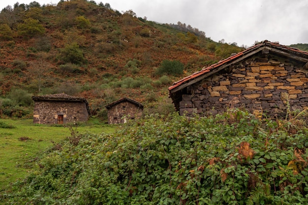 Rural landscapes in the interior of asturias