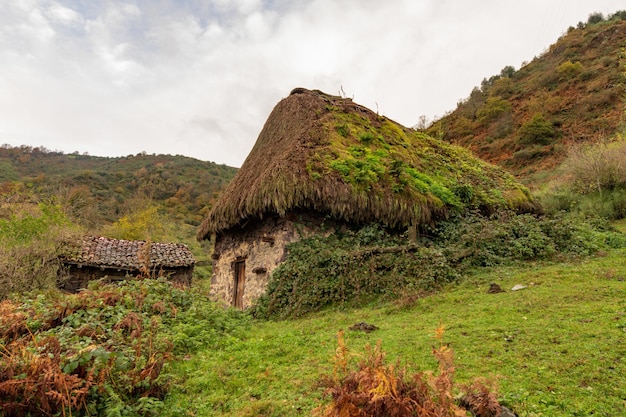 Rural landscapes in the interior of asturias