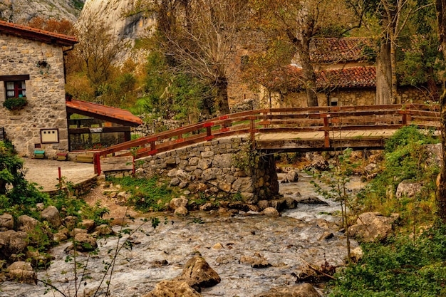 Photo rural landscapes in the interior of asturias