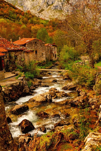 Photo rural landscapes in the interior of asturias