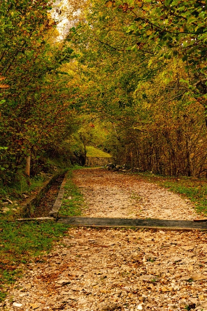 Rural landscapes in the interior of asturias