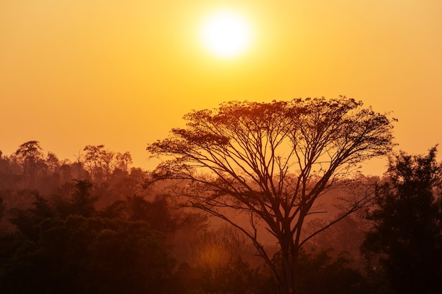 Rural landscapes in Northern Thailand