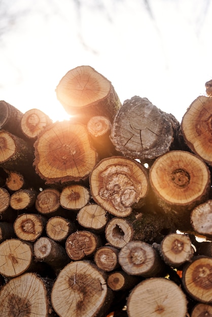 Foto concetto di stile di vita rurale con tronchi di legno ad angolo basso