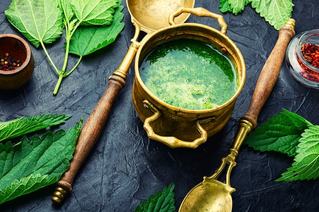 Rural lunch, nettle soup