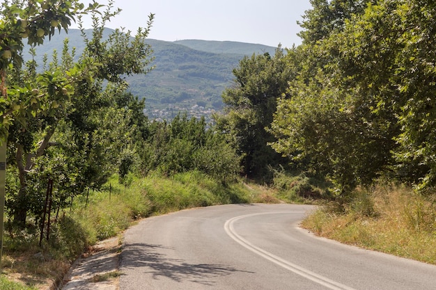 Rural narrow road near the village on a sunny summer day in the mountains Pelion Magnesia Greece